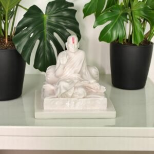 Swami Samarth Idol