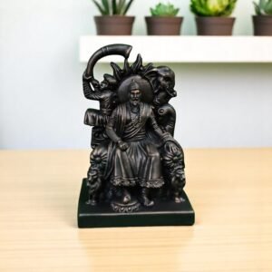 Chhatrapati Shivaji Maharaj Idol Seated on Throne